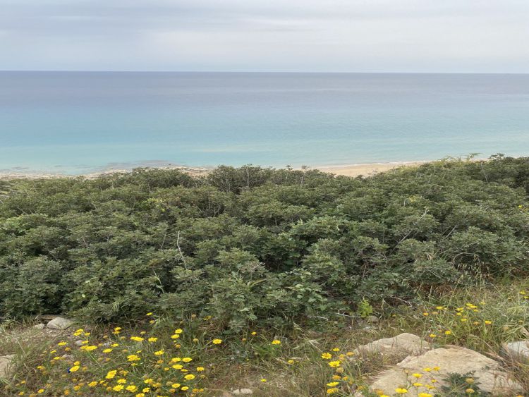 Golden Beach - Nordzypern