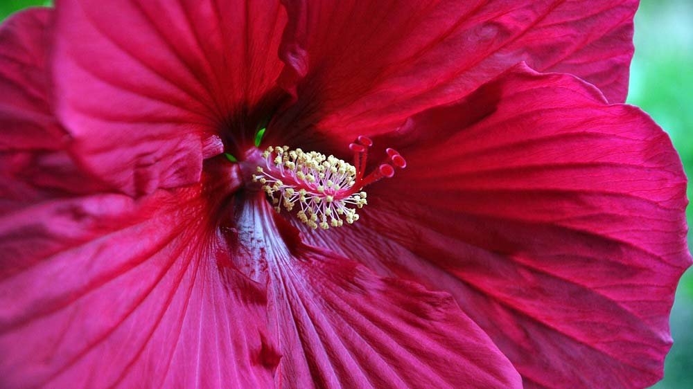 Spieglein Spieglein an der Wand...