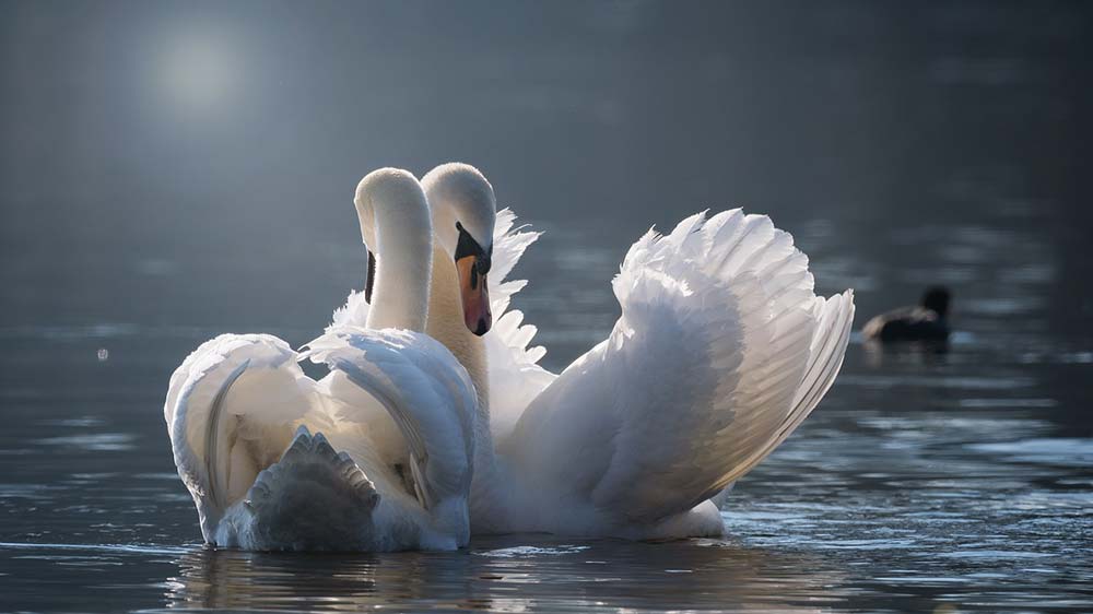 Gleichgeschlechtliche Ehe in Nordzypern anerkannt