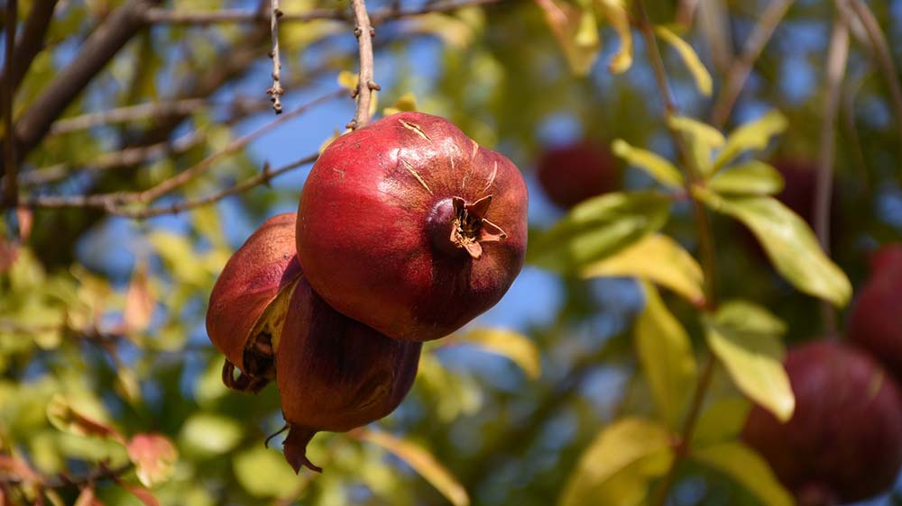 Zypern ist nicht gleich Zypern