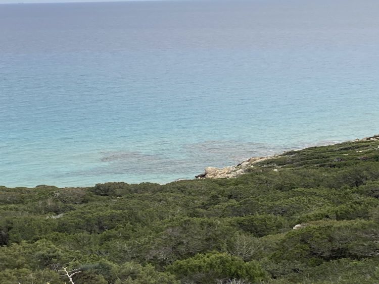 Golden Beach - Nordzypern