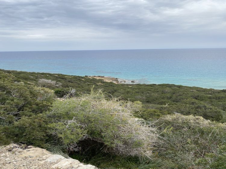 Golden Beach - Nordzypern