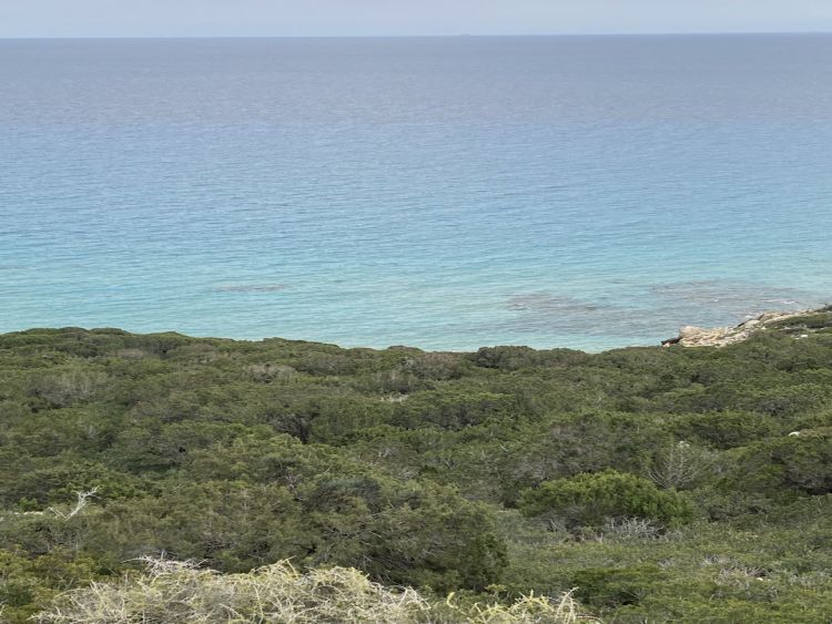 Golden Beach - Nordzypern