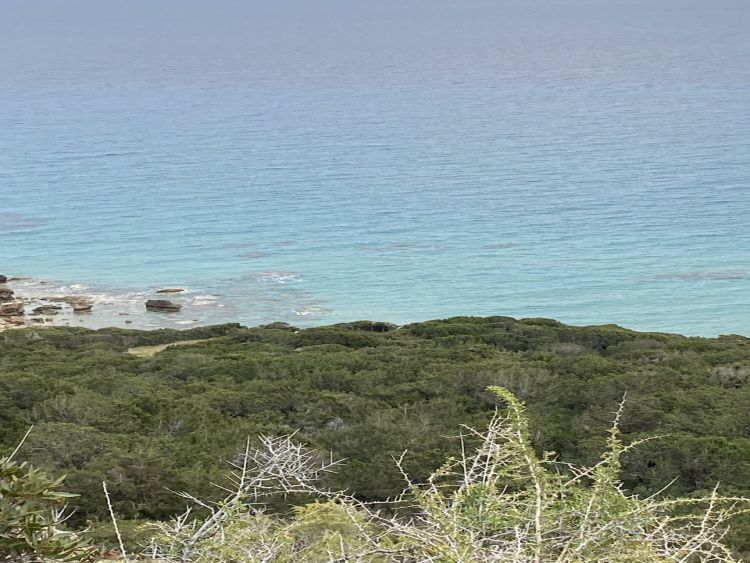 Golden Beach - Nordzypern