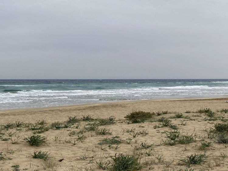 Golden Beach - Nordzypern