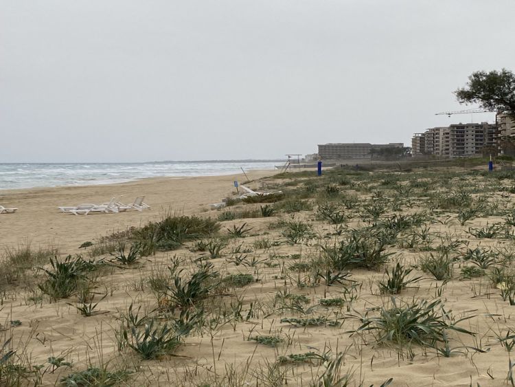 Varosha