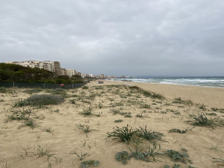 Varosha
