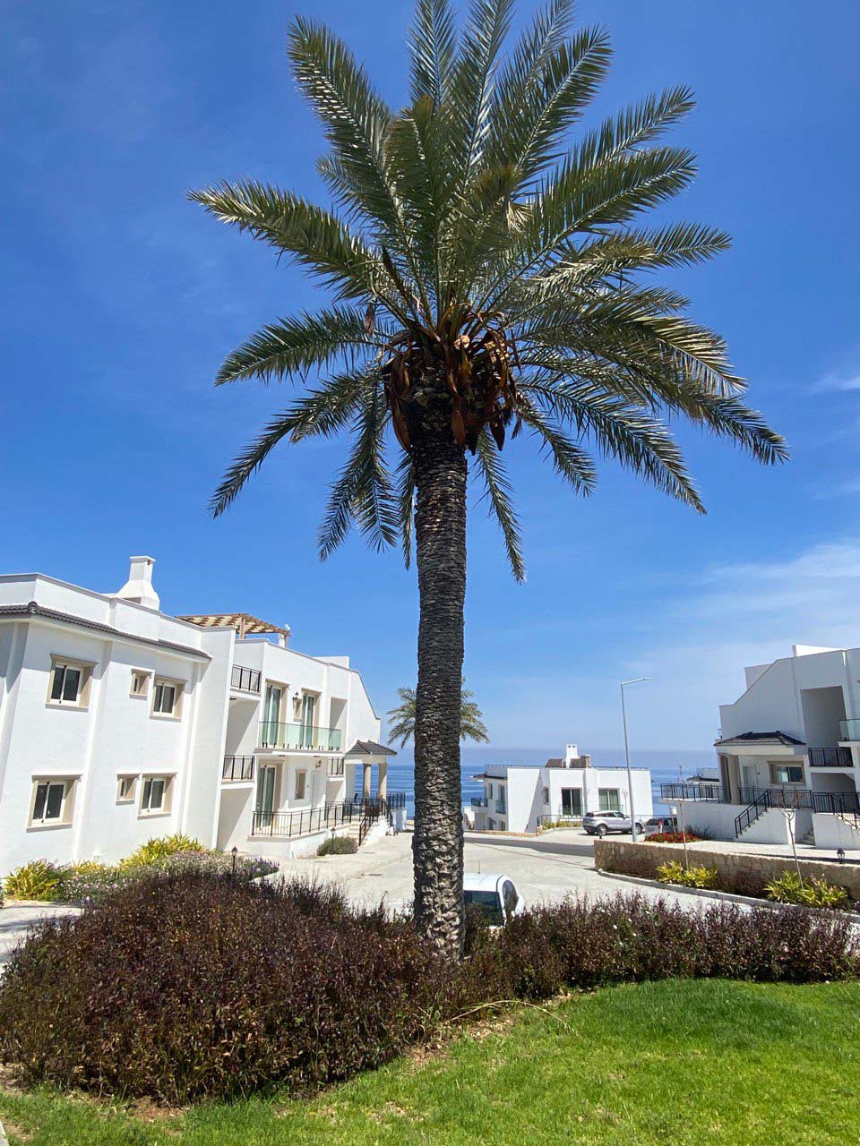 Zypernscout Immobilien - Referenzen