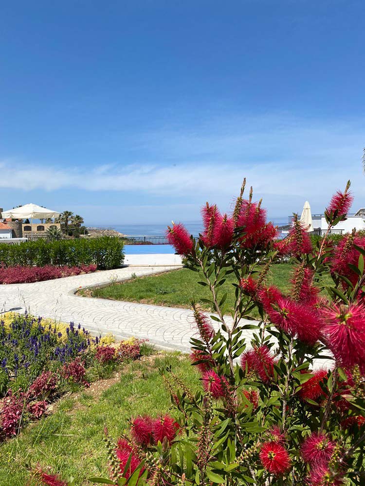 Zypernscout Immobilien - Ihre Vorteile